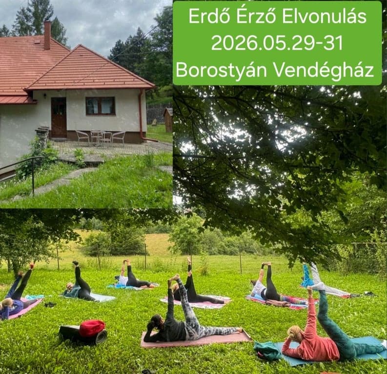 Erdő Érző elvonulás a Borostyán Vendégházban