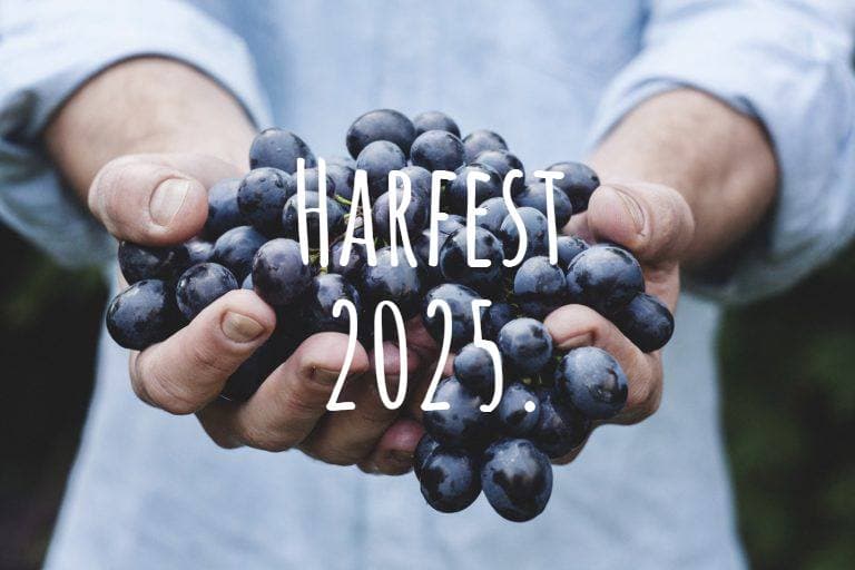 Szüreti Mulatság a Hegyen